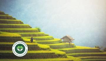 Tehran Business Tour